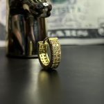 پرسینگ گوش 19